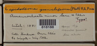 Image Associated With the Occurence